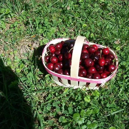 La D'amis לינה וארוחת בוקר Vauquois
